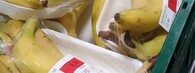 balené banány