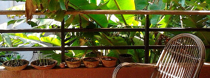 Zelený balkon Foto: Siidhartha Sikdar / Flickr.com