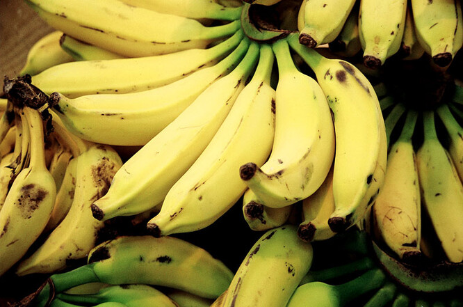 Každý pátý banán vypěstovaný v Ekvádoru obvykle putuje na Ukrajinu a do Ruska.