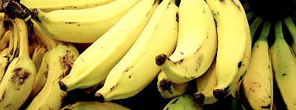 Banány Foto: Fernando Stankuns / Flickr