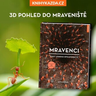 Knihu Mravenci. Život lesního společenství napsal Armin Schieb. Vyšla v nakladatelství Kazda v roce 2021, do češtiny ji přeložila Markéta Kliková.