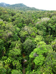Pohled na národní park Barron Gorge z lanovky