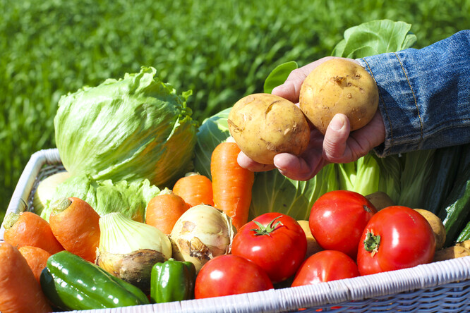 ČR je na dovozu zeleniny závislá zhruba ze dvou třetin, což vede k tomu, že ceny určuje dovoz a čeští zemědělci na ně mají minimální vliv.