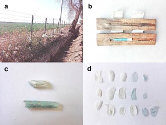 a)plastový odpad zachycený v plotě; b) plastové včelí hnízdo; c) komůrky z plastu; d) použitý plast