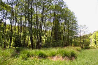 Bělá je soukromou rezervací, kterou vykoupil Český svaz ochránců přírody z prostředků veřejné sbírky Místo pro přírodu.