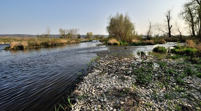 Řeka Berounka.