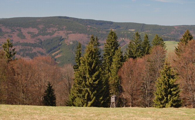 Ilustrační snímek horského lesa s dominancí buku lesního, ustupující jedlí bělokorou, smrkem ztepilým a vtroušeným javorem klenem v Beskydech.