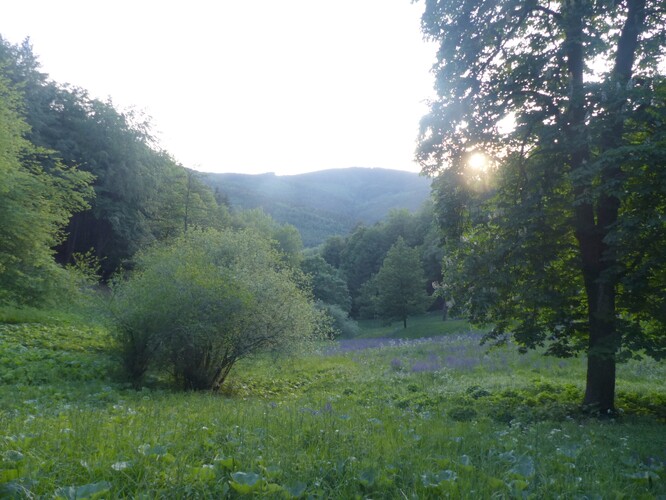 Bílé potoky patří k nejcennějším lokalitám severní části Bílých Karpat.