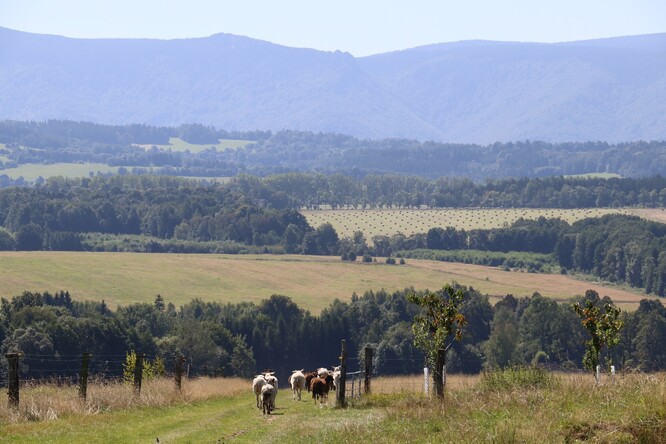 Biokráva s.r.o. Biokráva s.r.o.