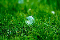 bublina v trávě