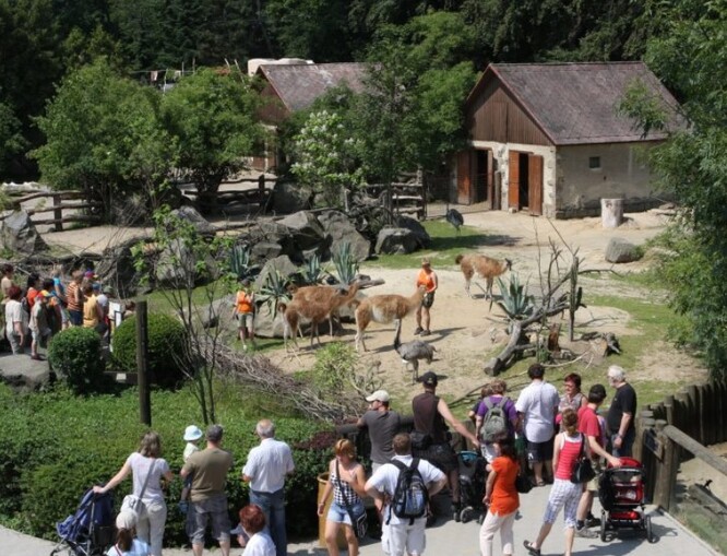 Jihlavská zoo je zavřená od 16. března. / Ilustrační foto