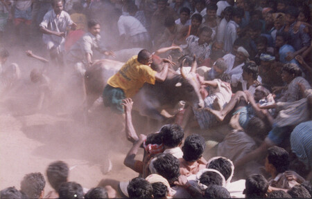 Indický Nejvyšší soud v roce 2014 zakázal býčí zápasy zvané džallikattu, kterých se každoročně ve státě Tamilnádu účastnily tisíce mužů, jejichž cílem bylo holýma rukama přemoci býka a spoutat ho. Soud své rozhodnutí zdůvodnil tím, že jde o týrání zvířat.