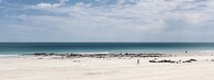Cable Beach v Austrálii