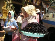 Smažené tarantule v Kambodži