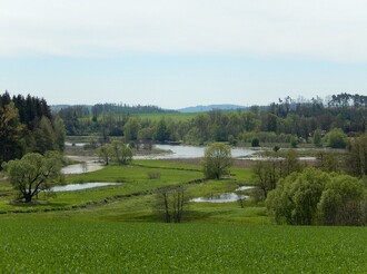 Opravený rybník v Černíči poblíž Telče.