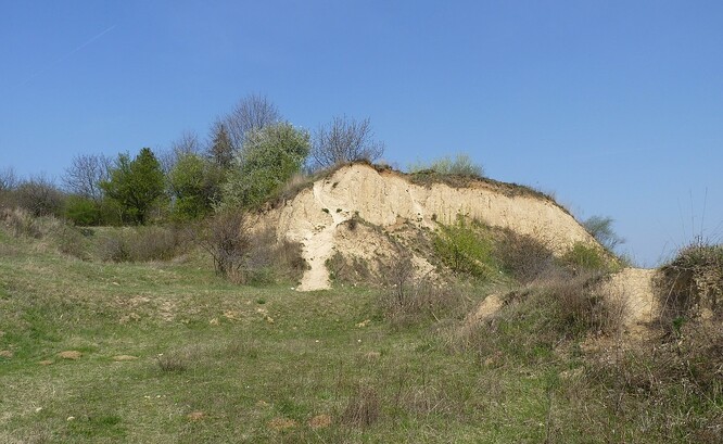 Červený kopec je národní přírodní památkou na území centrální městské části Brno-střed.