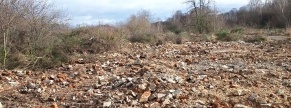 Foto: Česká krajina Foto: Česká krajina