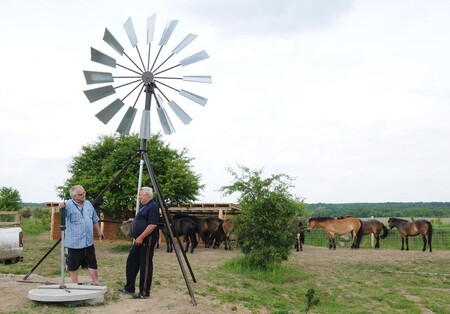 V současné době funguje větrné čerpadlo i v Milovicích, kde usnadňuje péči o stádo divokých koní