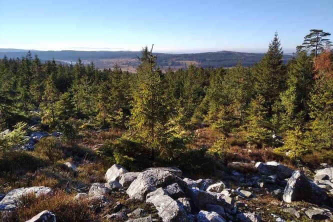 PP Kočka. PP Kočka.