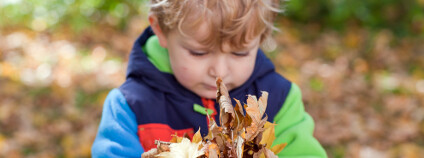 Chlapec se spadaným listím Foto: Irina Schmidt / Shutterstock