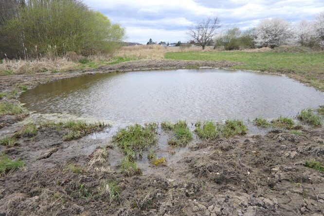 Cholupický mokřad na Praze 12. Cholupický mokřad na Praze 12.