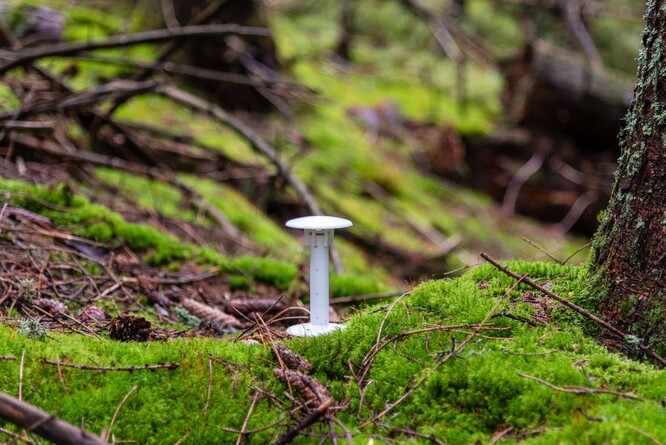 Ilustrační snímek čidla. Ilustrační snímek čidla.