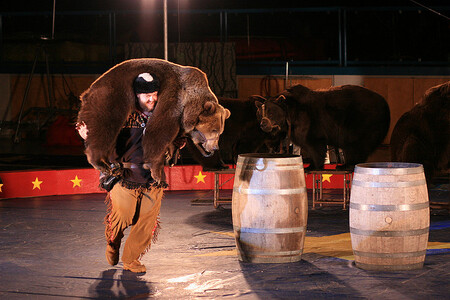 Drezuře zvířat v cirkusech zřejmě zvoní hrana. Ilustrační snímek. Drezuře zvířat v cirkusech zřejmě zvoní hrana. Ilustrační snímek.