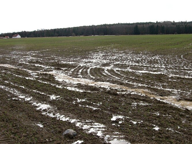 Krajina u Přeštic po krátkém lednovém tání (2013). Odtálo asi deset centimetrů sněhu. V té době měla vodárna v Plzni skoro desetkrát zmírněnou normu na obsah pesticidů v pitné vodě.