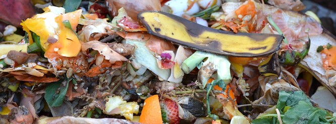Eva Rusková z městského odboru životního prostředí uvedla, že do nádob je možné ukládat nejen nesnědené potraviny, ale i odřezky z ovoce, zeleniny a další rostlinné i živočišné zbytky. Odpad se sváží do bioplynové stanice v Rapotíně.