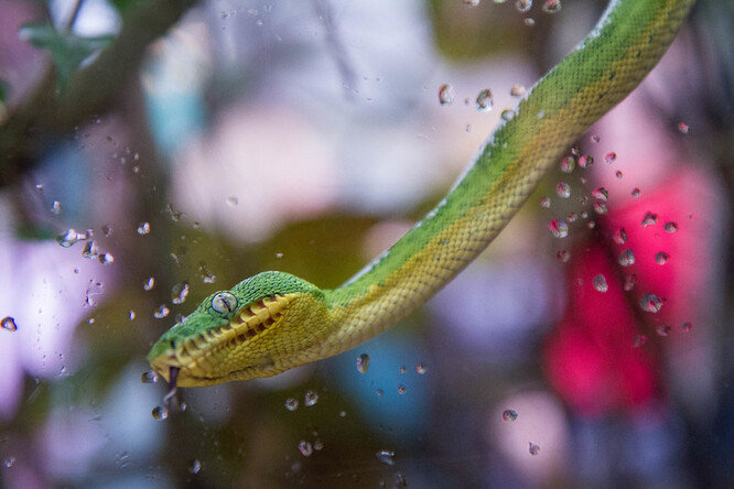 Ilustrační foto Ilustrační foto