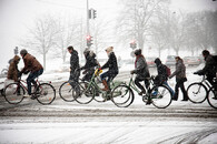 Cyklisté v Kodani