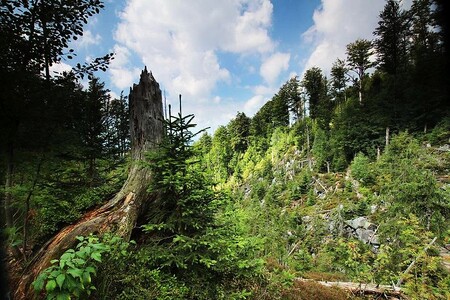 Účastníci během čtyř dnů navštíví různá místa obou národních parků. Na snímku Ďáblova soutěska, kterou je potřeba se vydrápat na vrchol Luzný.