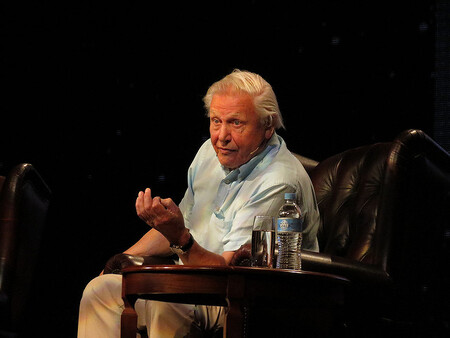 David Attenborough je spoluautorem filmů a seriálů o životě v přírodě jako Život na Zemi, Naše modrá planeta, Modrá planeta, Zázračná planeta, Život savců nebo Ptačí svět.