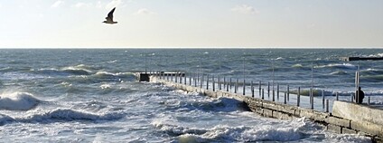 Černomořské pobřeží Foto: Depositphotos