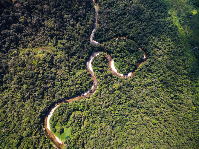 Amazonský prales.