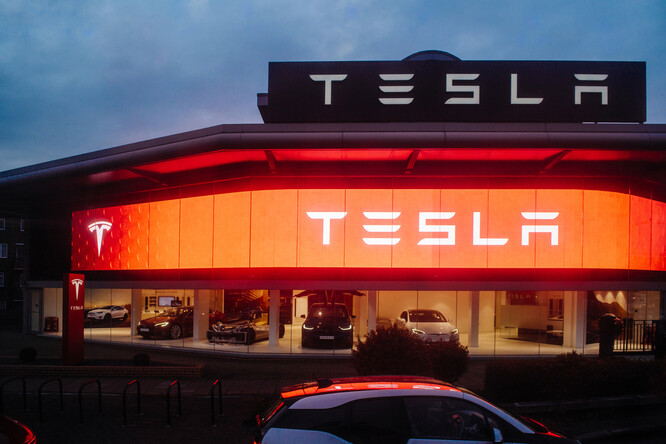 Světovým lídrem na trhu elektromobilů je americká značka Tesla, která v roce 2022 prodala 1,31 milionu vozů, což je meziroční nárůst o 40 procent. Nejprodávanějším elektrickým vozem na světě je Tesla Model 3.