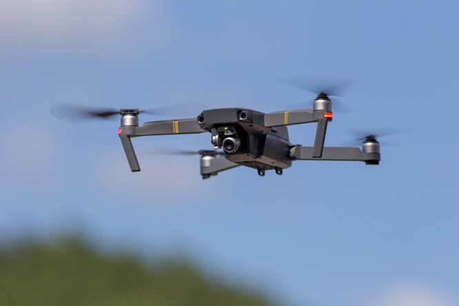 Přírodně cenná území budou nejdříve monitorovat ze vzduchu drony vybavené technologií rozpoznávání invazních druhů rostlin. V tom se budou postupně zdokonalovat na základě strojového učení.