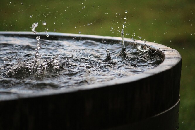 Možnost zachytávat dešťovou vodu do sudů či nadzemních nádrží aktuálně využívají tři čtvrtiny domácností.