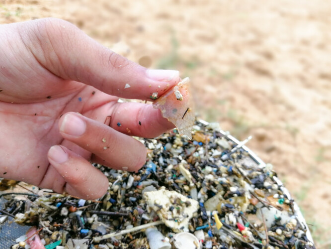 Vzorky odebrané v letech 1979 až 2019 odhalily rychlý a bezprecedentní nárůst plastů v oceánech od roku 2005.