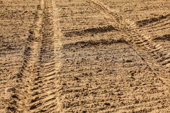 Dnešní zemědělské stroje jsou nyní tak těžké, že nenapravitelně zhutňují půdu pod prvními 20 centimetry hloubky, kde není obdělávána