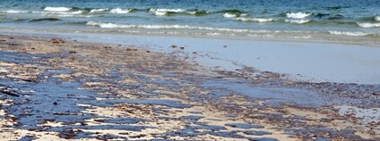 Ropné skvrna na pláži Foto: Depositphotos