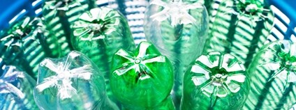 Plastové lahve v koši Foto: Depositphotos