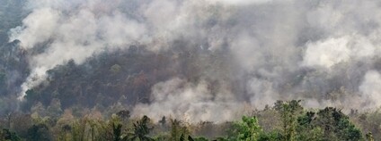 Požár v Amazonii Foto: Depositphotos