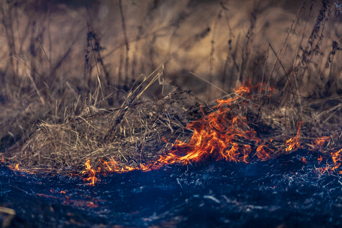 Krajští hasiči apelují na lidi, aby v suchém a často i větrném počasí nezakládali ohně na svých pozemcích nebo v přírodě. Ilustrační foto