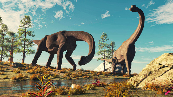 Zkamenělá žebra podle vědců patří brachiosaurovi a jejich velikost naznačuje, že jejich majitel mohl mít 25 metrů na délku a 12 metrů na výšku.  Ilustrační obrázek