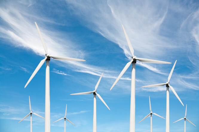 Přibližně 42 procent produkce energie z obnovitelných zdrojů připadlo na větrné elektrárny na souši a více než čtvrtina na solární elektrárny. Na výrobě této energie se podílely rovněž elektrárny na biomasu, větrné elektrárny na moři a vodní elektrárny.