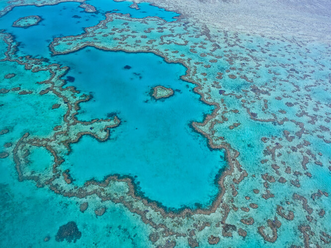 Letecký pohled na Velký bariérový útes.