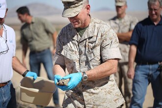 Vojáci přemisťují pouštní želvy z armádní střelnice.