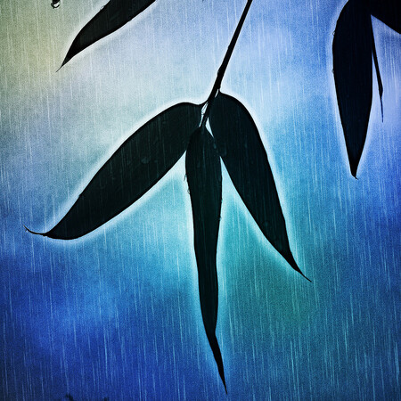 Deště kyselé jako neředěná šťáva citronu - jedna z možných příčin velkého vymírání druhů. Deště kyselé jako neředěná šťáva citronu - jedna z možných příčin velkého vymírání druhů.