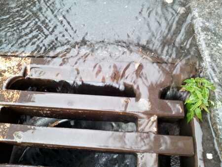 Leckde se dešťová voda posílá do splaškové kanalizace. Při přívalových deštích to nedělá dobrotu.